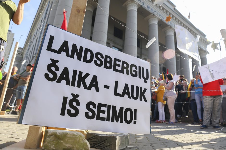 Žydų atstovai, I. Šimonytė pasmerkė Holokausto simbolikos naudojimą mitinge prie Seimo