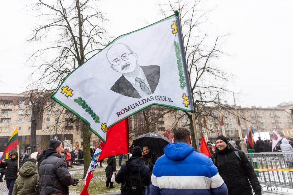 Po protesto – A. Orlausko pareiškimas apie valdžią: jie – ne vadovai, jie iškamšos