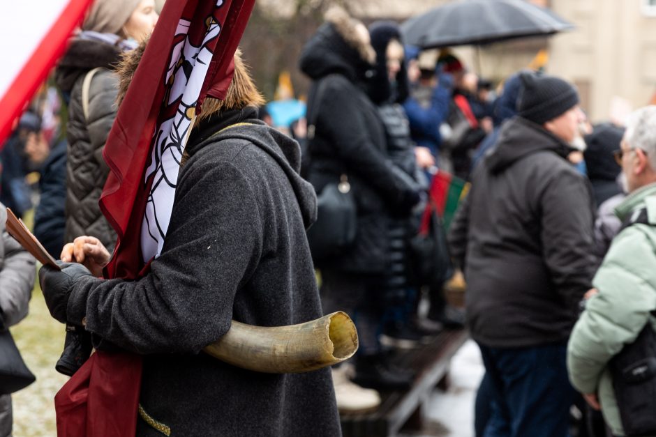 Po protesto – A. Orlausko pareiškimas apie valdžią: jie – ne vadovai, jie iškamšos