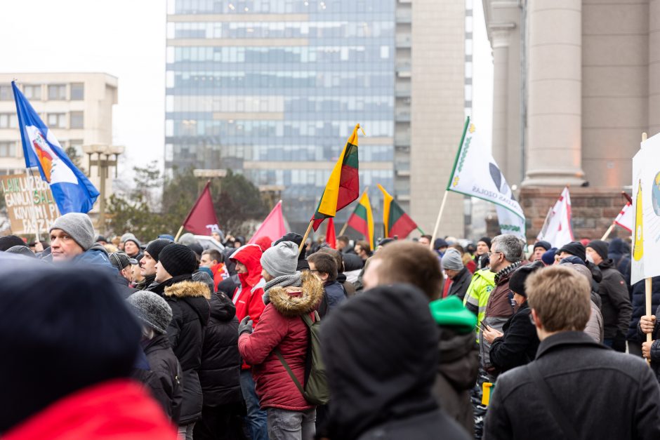 Po protesto – A. Orlausko pareiškimas apie valdžią: jie – ne vadovai, jie iškamšos