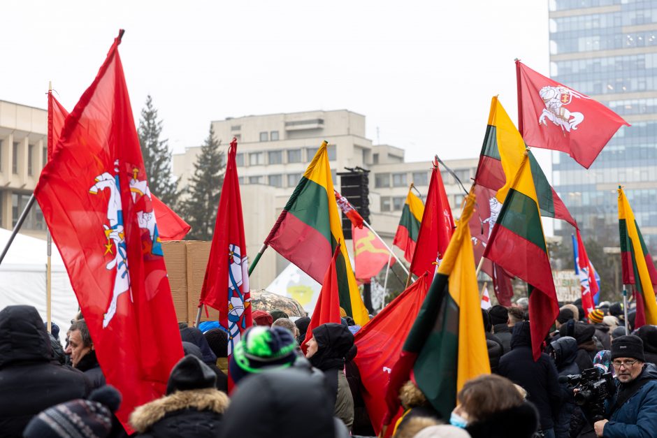 Po protesto – A. Orlausko pareiškimas apie valdžią: jie – ne vadovai, jie iškamšos