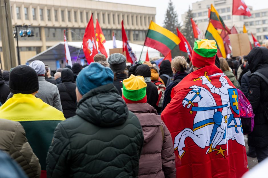 Po protesto – A. Orlausko pareiškimas apie valdžią: jie – ne vadovai, jie iškamšos