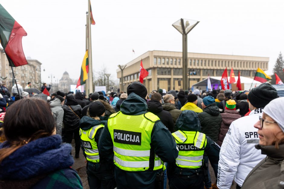 Po protesto – A. Orlausko pareiškimas apie valdžią: jie – ne vadovai, jie iškamšos