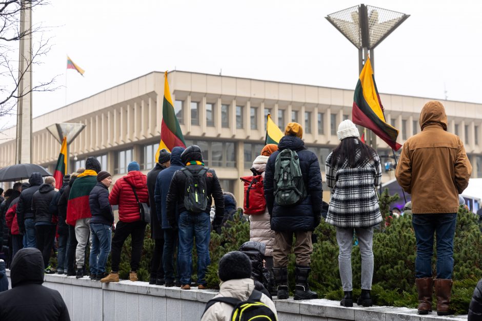 Po protesto – A. Orlausko pareiškimas apie valdžią: jie – ne vadovai, jie iškamšos