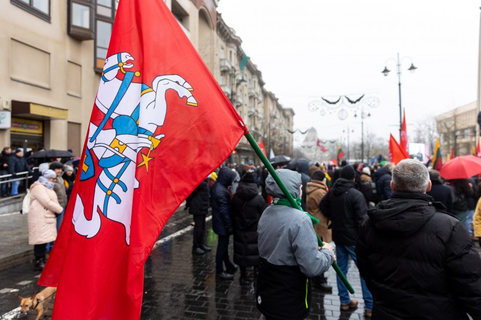 Po protesto – A. Orlausko pareiškimas apie valdžią: jie – ne vadovai, jie iškamšos