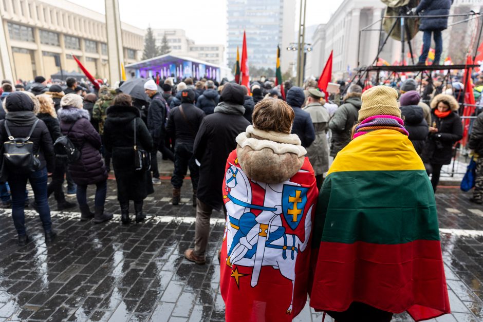 Po protesto – A. Orlausko pareiškimas apie valdžią: jie – ne vadovai, jie iškamšos