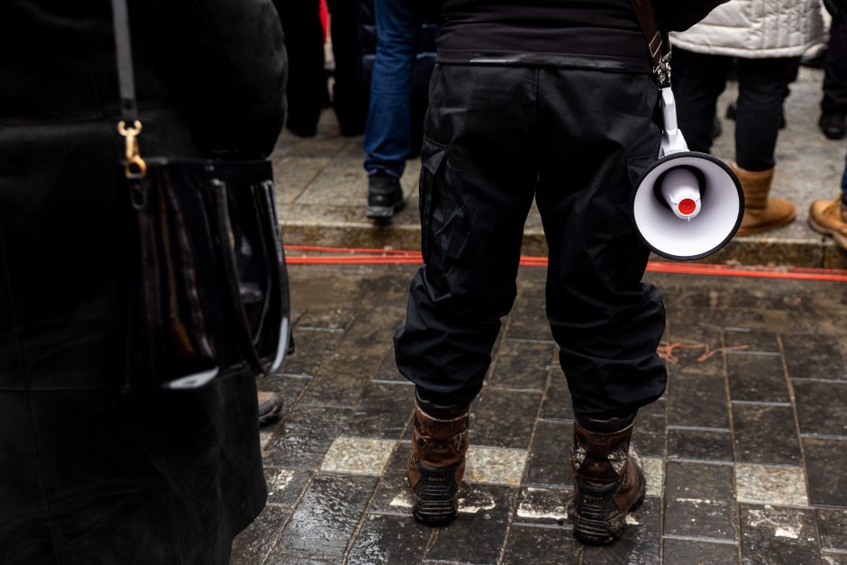 Po protesto – A. Orlausko pareiškimas apie valdžią: jie – ne vadovai, jie iškamšos