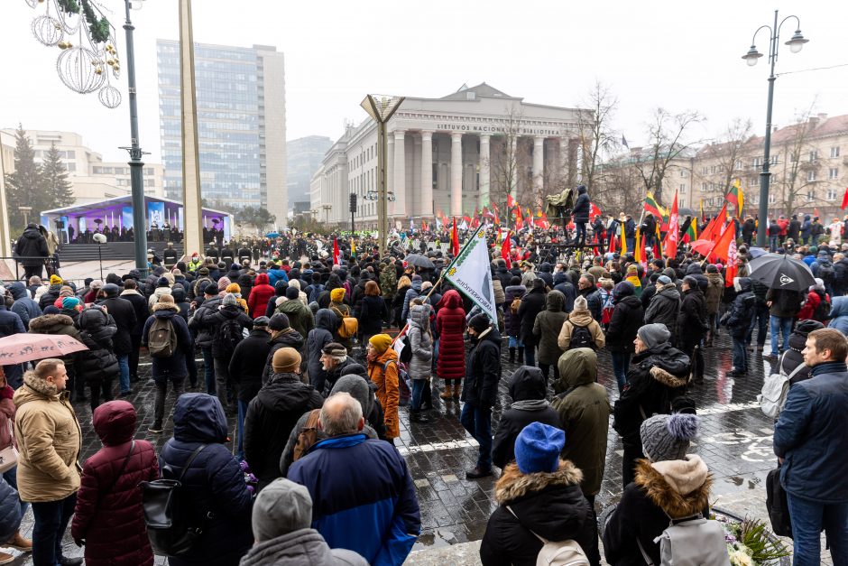 Po protesto – A. Orlausko pareiškimas apie valdžią: jie – ne vadovai, jie iškamšos