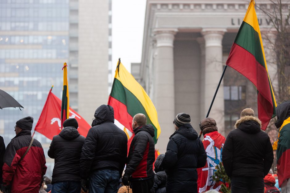 Po protesto – A. Orlausko pareiškimas apie valdžią: jie – ne vadovai, jie iškamšos