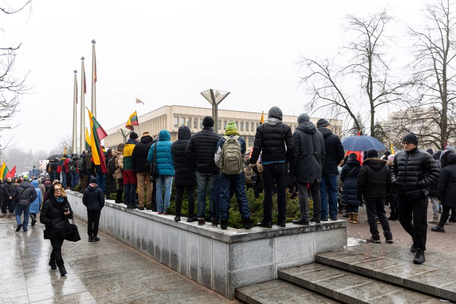 Po protesto – A. Orlausko pareiškimas apie valdžią: jie – ne vadovai, jie iškamšos