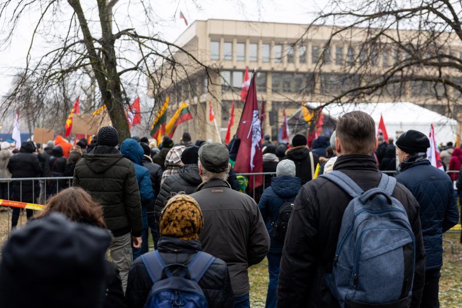 Po protesto – A. Orlausko pareiškimas apie valdžią: jie – ne vadovai, jie iškamšos