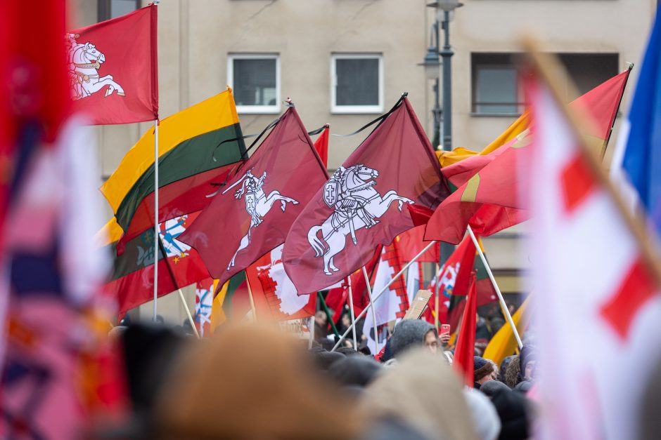 Po protesto – A. Orlausko pareiškimas apie valdžią: jie – ne vadovai, jie iškamšos