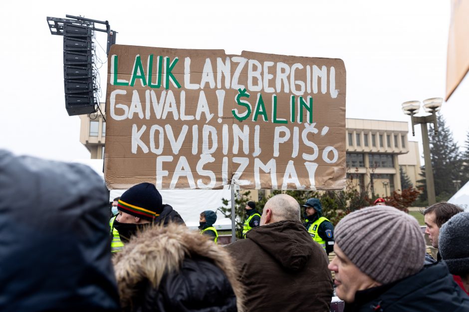 Po protesto – A. Orlausko pareiškimas apie valdžią: jie – ne vadovai, jie iškamšos