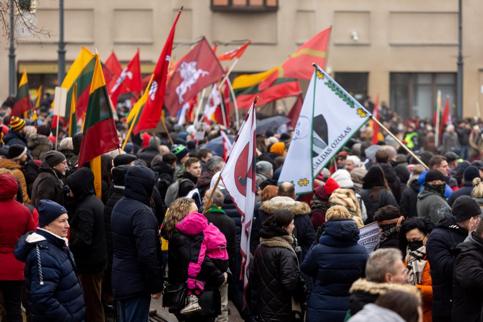 Po protesto – A. Orlausko pareiškimas apie valdžią: jie – ne vadovai, jie iškamšos