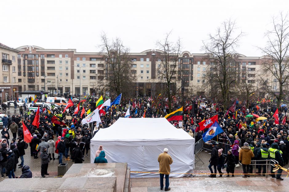 Po protesto – A. Orlausko pareiškimas apie valdžią: jie – ne vadovai, jie iškamšos