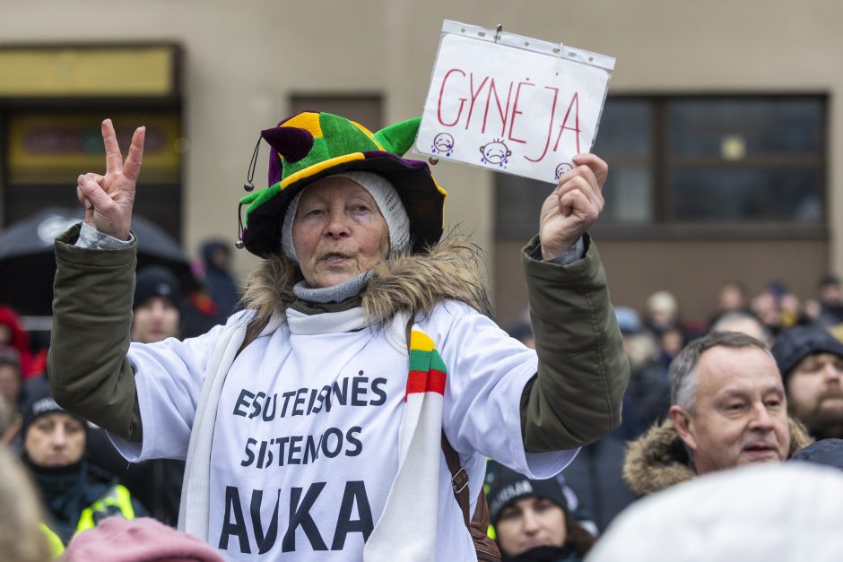 Po protesto – A. Orlausko pareiškimas apie valdžią: jie – ne vadovai, jie iškamšos