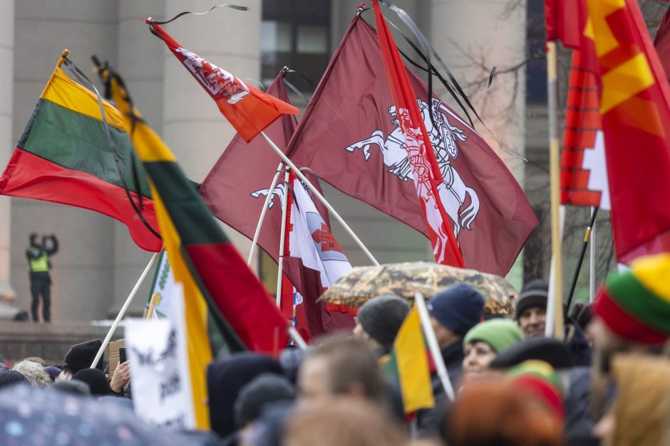 Po protesto – A. Orlausko pareiškimas apie valdžią: jie – ne vadovai, jie iškamšos