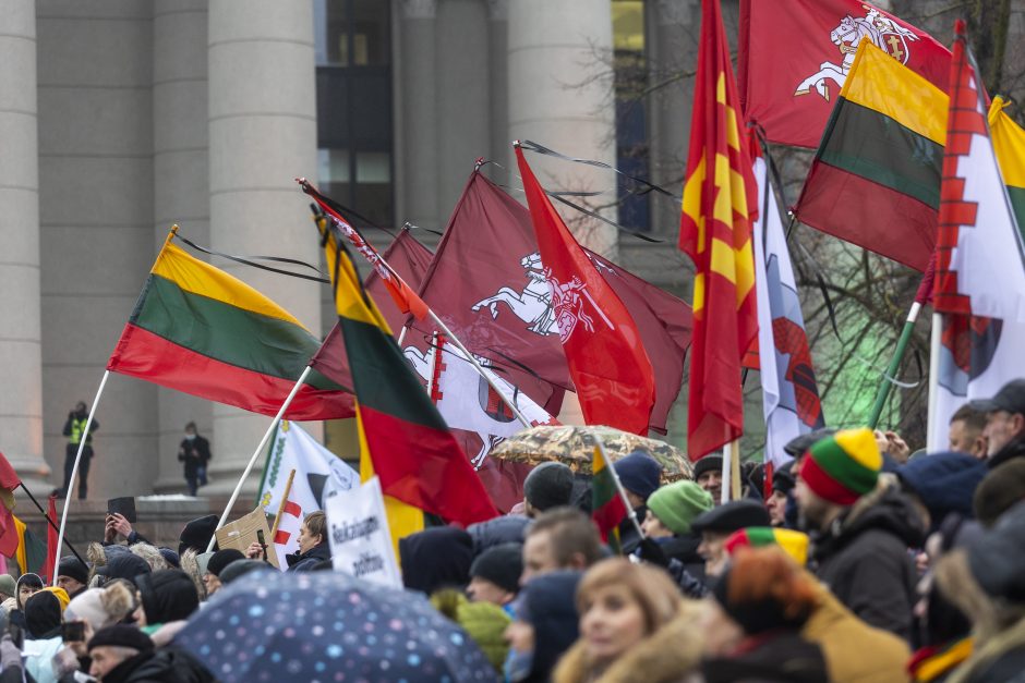 Po protesto – A. Orlausko pareiškimas apie valdžią: jie – ne vadovai, jie iškamšos