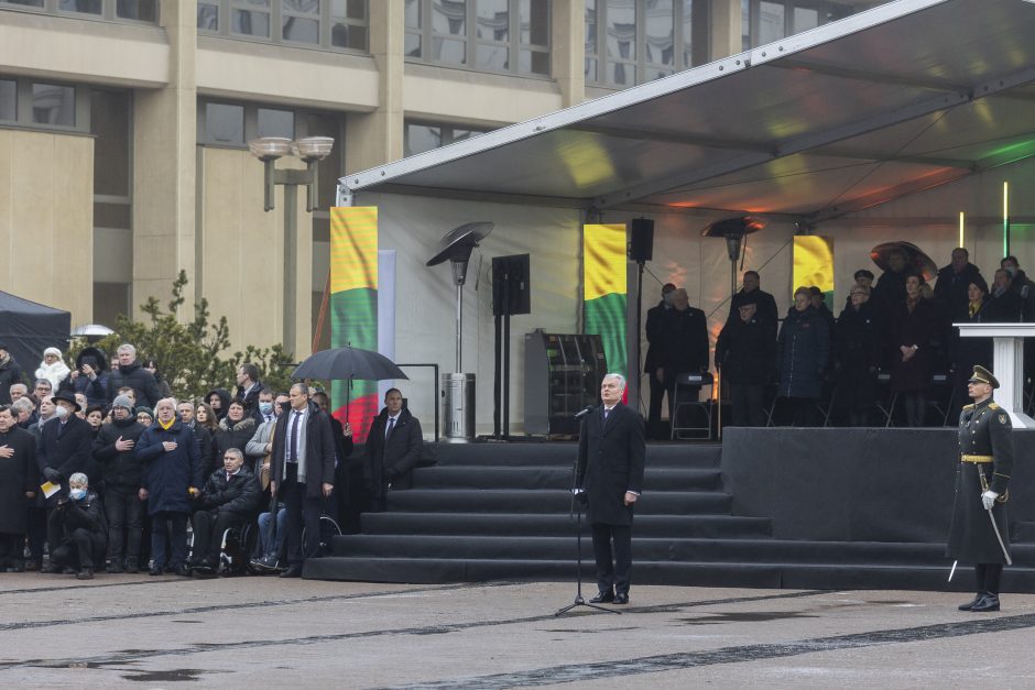 Po protesto – A. Orlausko pareiškimas apie valdžią: jie – ne vadovai, jie iškamšos