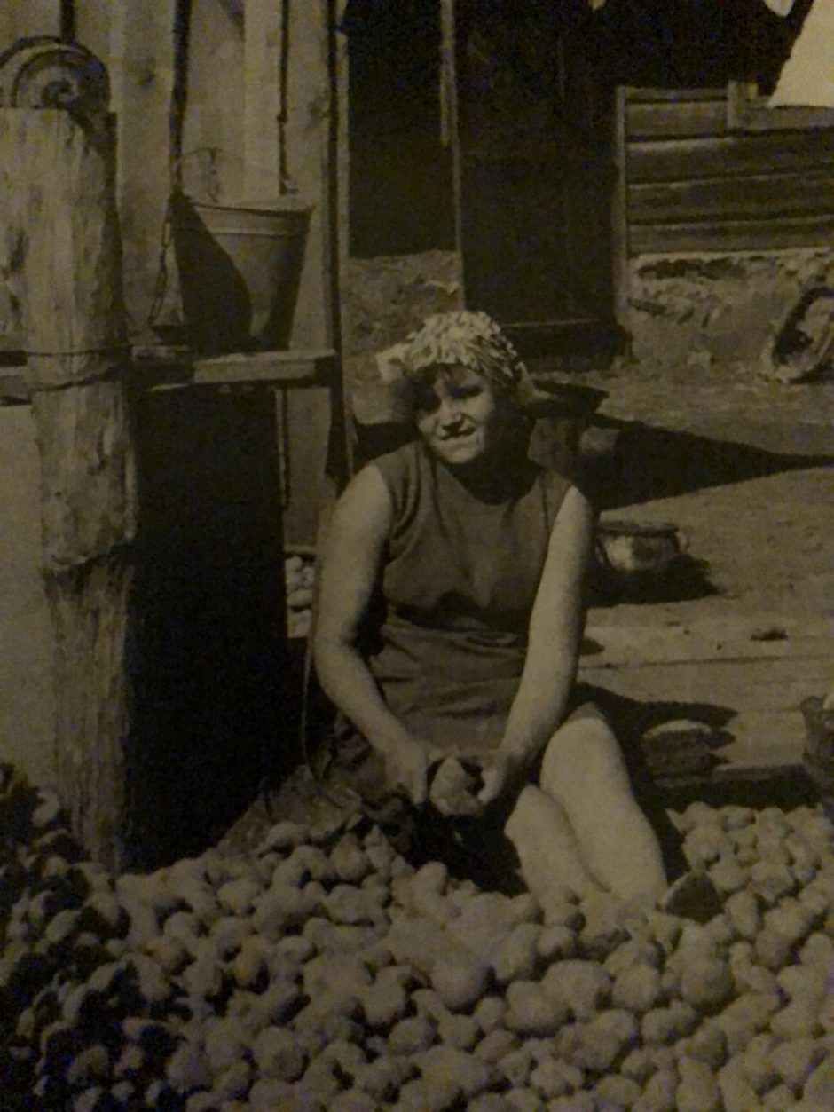 Neabejotinai gyvas: Klaipėdoje išleistas A. Stanevičiaus fotoalbumas