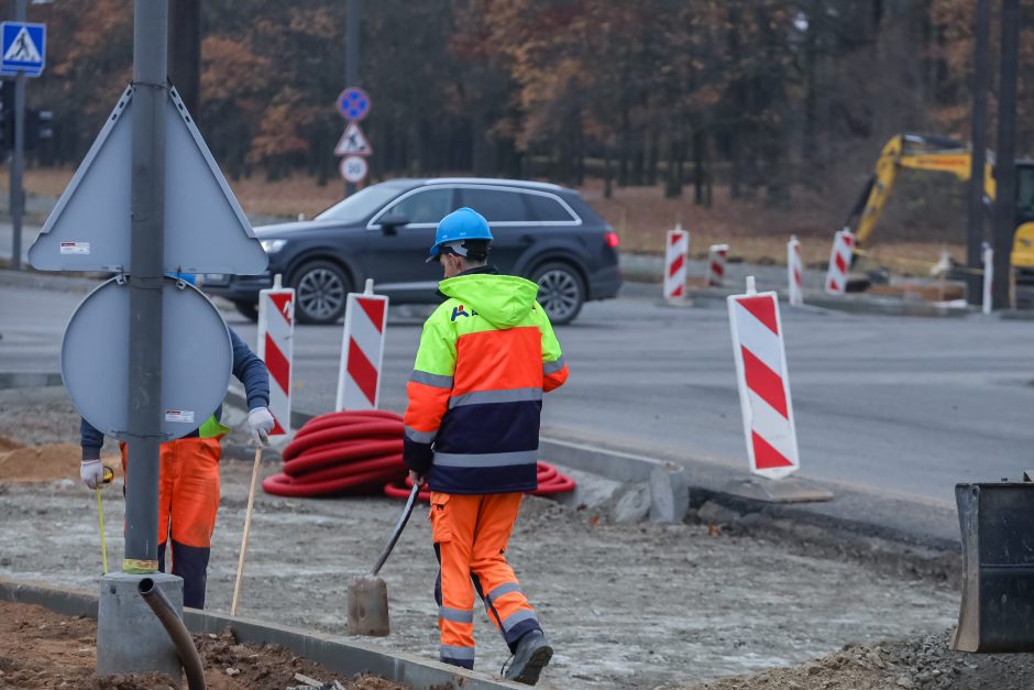 Dygstančios duobės: vieni kaltina gamtą, kiti – kelininkus