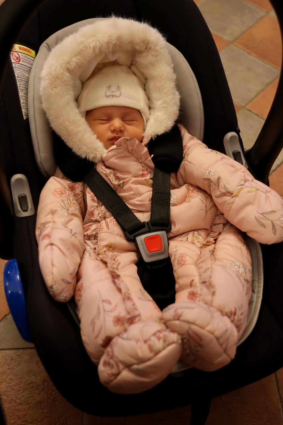 Adelė – 200-asis šių metų kūdikis Kauno rajone