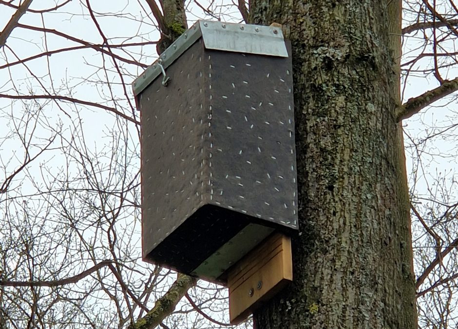 Skulptūrų parke inkilai patys neatsiranda