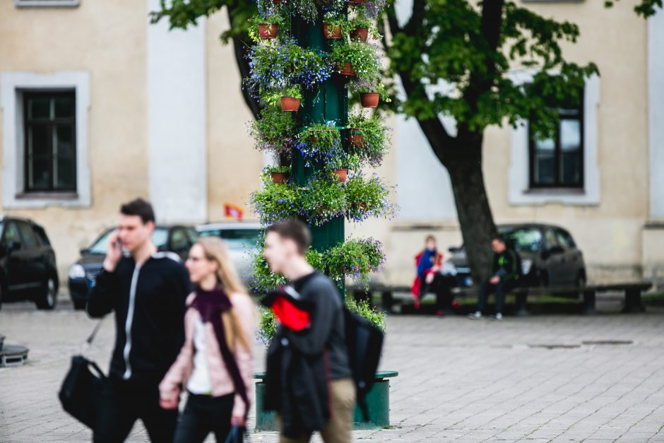 Rotušės aikštę papuošė originalus raktų medis