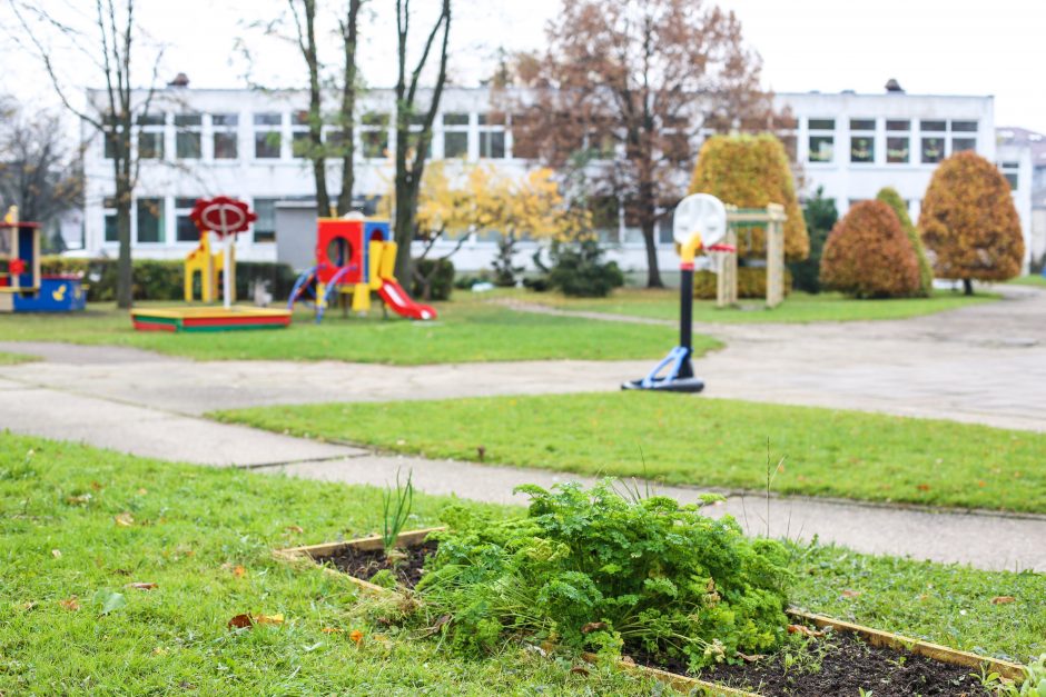 Gardus rekordas: milžinišką moliūgą sukirto 111 darželinukų