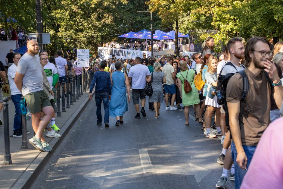 „Jabadabadū“ nuo kalno: muilinių lenktynėse – humoras ir kūrybiškumas