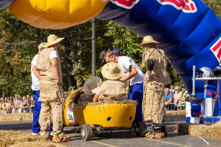 „Jabadabadū“ nuo kalno: muilinių lenktynėse – humoras ir kūrybiškumas