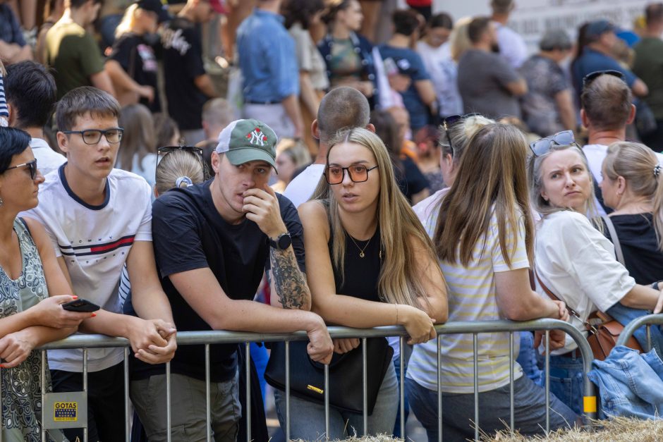 „Jabadabadū“ nuo kalno: muilinių lenktynėse – humoras ir kūrybiškumas