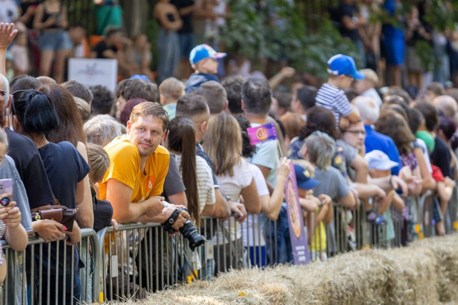 „Jabadabadū“ nuo kalno: muilinių lenktynėse – humoras ir kūrybiškumas