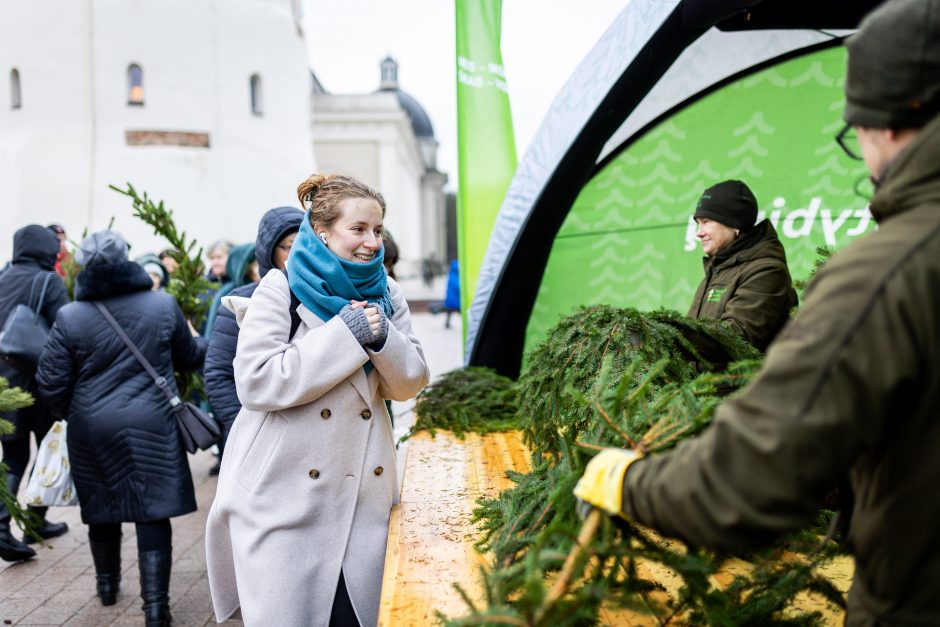 Miškininkai gyventojams išdalijo 100 tūkst. eglių ir pušų šakų