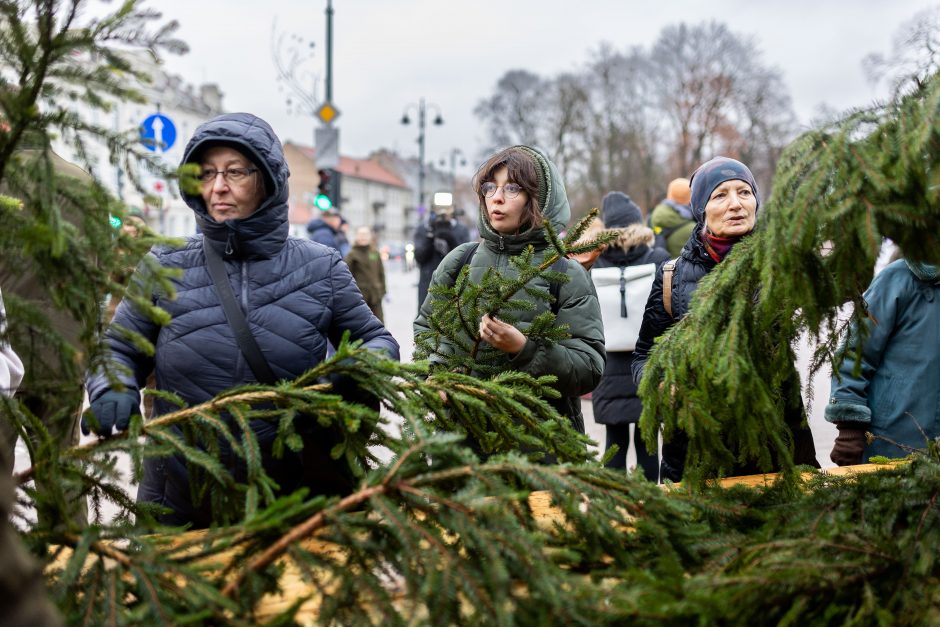 Miškininkai gyventojams išdalijo 100 tūkst. eglių ir pušų šakų