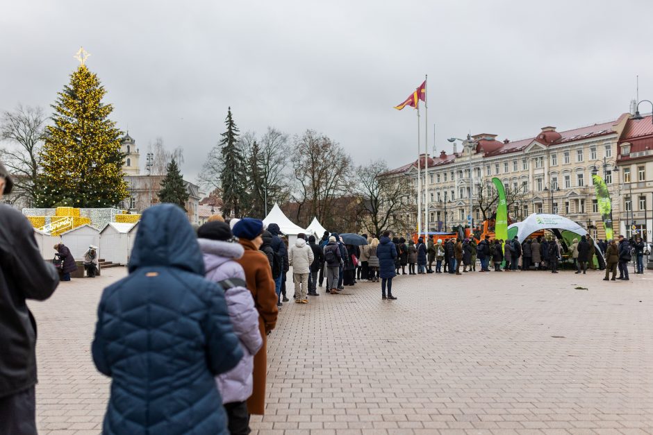 Miškininkai gyventojams išdalijo 100 tūkst. eglių ir pušų šakų