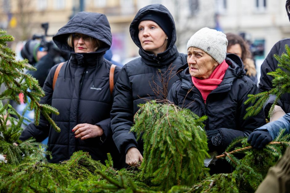 Miškininkai gyventojams išdalijo 100 tūkst. eglių ir pušų šakų