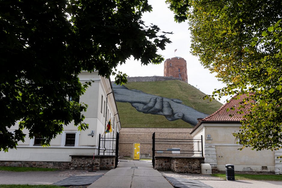  Prancūzų menininko Saype freska ant Gedimino kalno