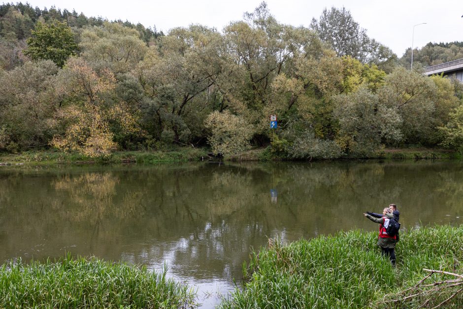 Prabilo dingusio Mato mama: niekada nėra buvę, kad sūnus išeitų naktį