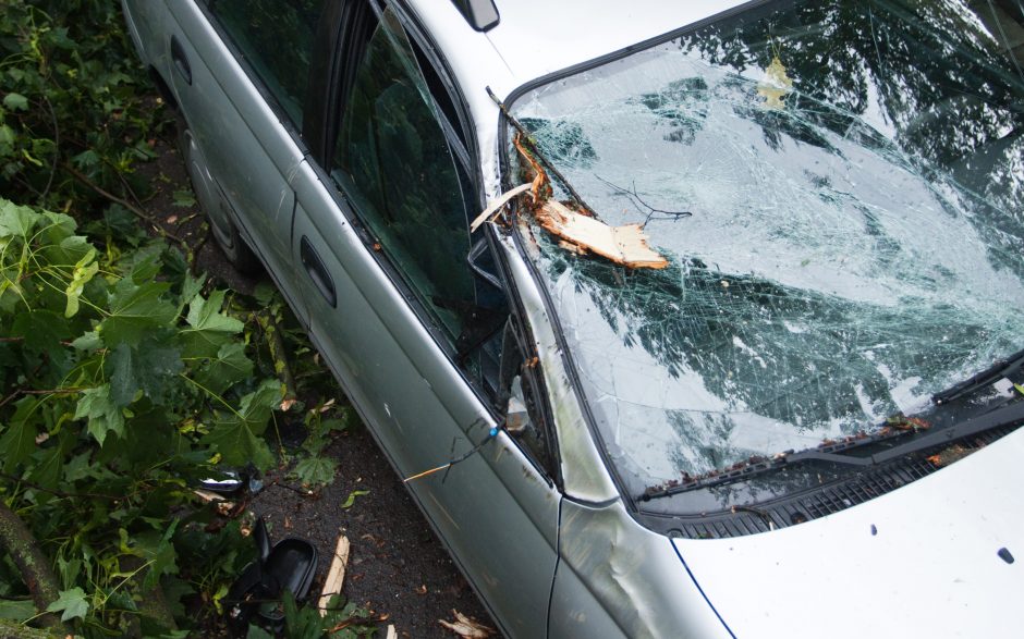 Antakalnyje ant automobilio užvirto medis: dalis jo rėmėsi į daugiabučio langus