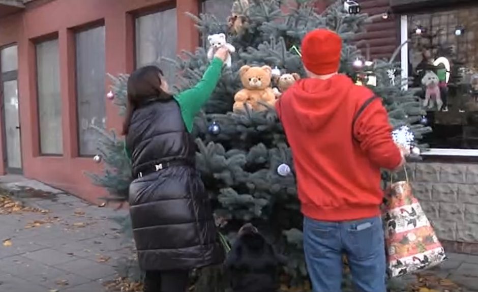 Kauniečius kviečia puošti išskirtinę kalėdinę eglę: žaliaskarė turi net tris viršūnes