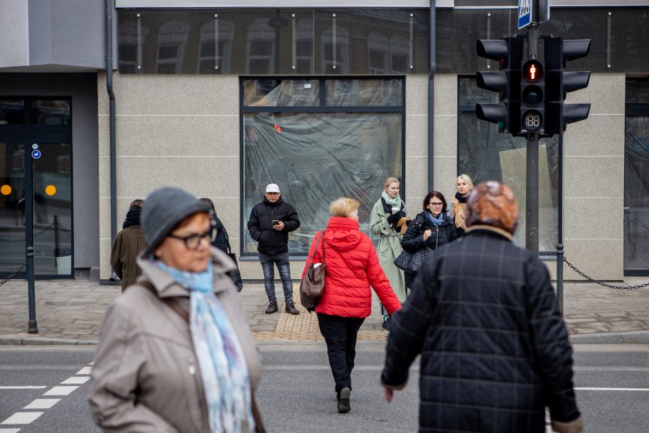 Širsta dėl šviesoforo prie pėsčiųjų perėjos: tiek laukiant galima ir megztinį nusimegzti