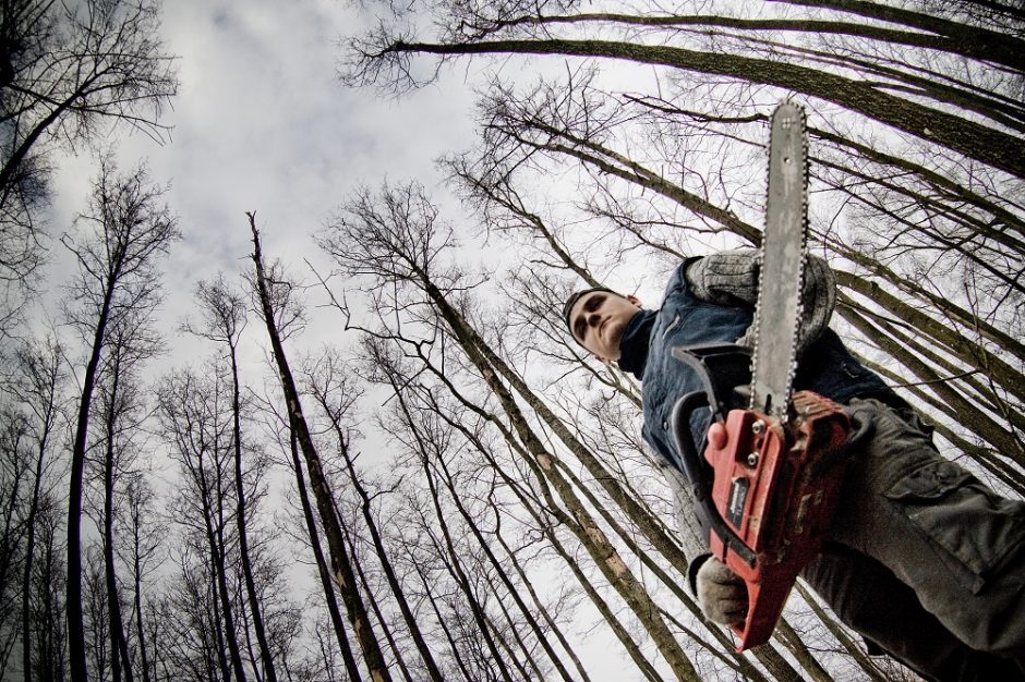 Miškų tarnyba išduotų leidimų „Natura 2000“ kirtimams nenaikins: prašo teismo išaiškinimo