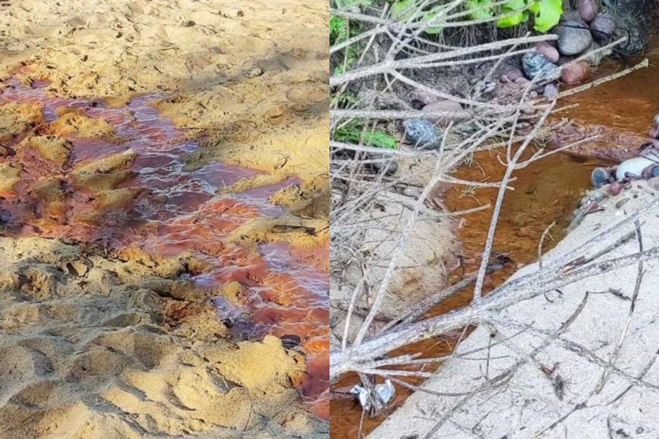 Žmonės sunerimo dėl vaizdų kopose: į paplūdimį bėga rudas, lyg užterštas vanduo