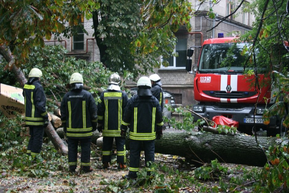 Ugniagesiai ir pirmadienį šalino nuvirtusius medžius: vyko 31 kartą