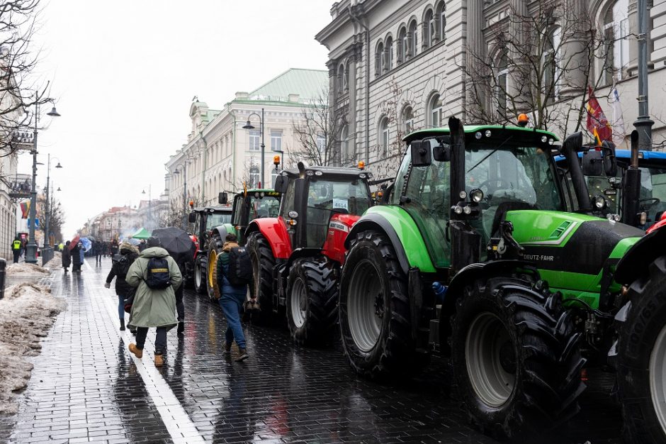 Seimas toliau svarstys pataisas dėl SND akcizo, priėmimas – ketvirtadienį