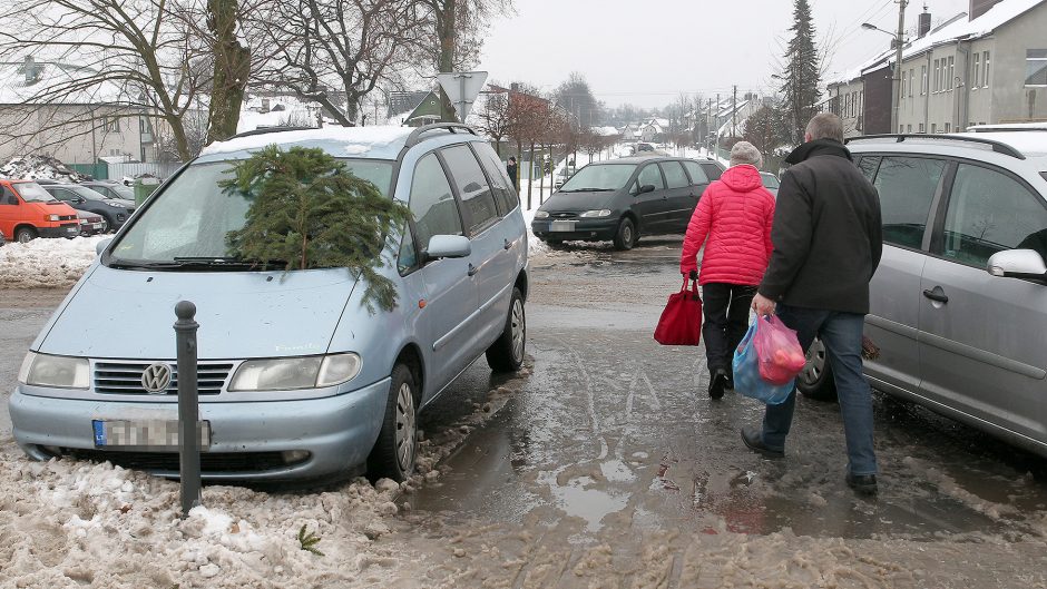 Žaliakalnio turgaus prekeivė: net ir prieš šventes niekas neperka žąsų ir ančių