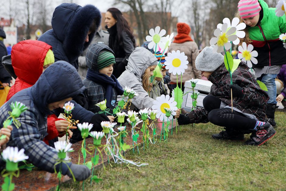 Tuberkulioze sergantiems klaipėdiečiams – ramunių žiedai