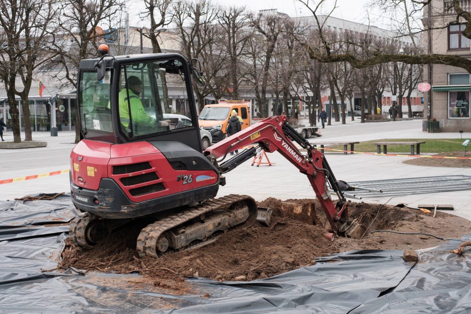 Naujos liepos Laisvės alėjoje jau atrado savo vietą