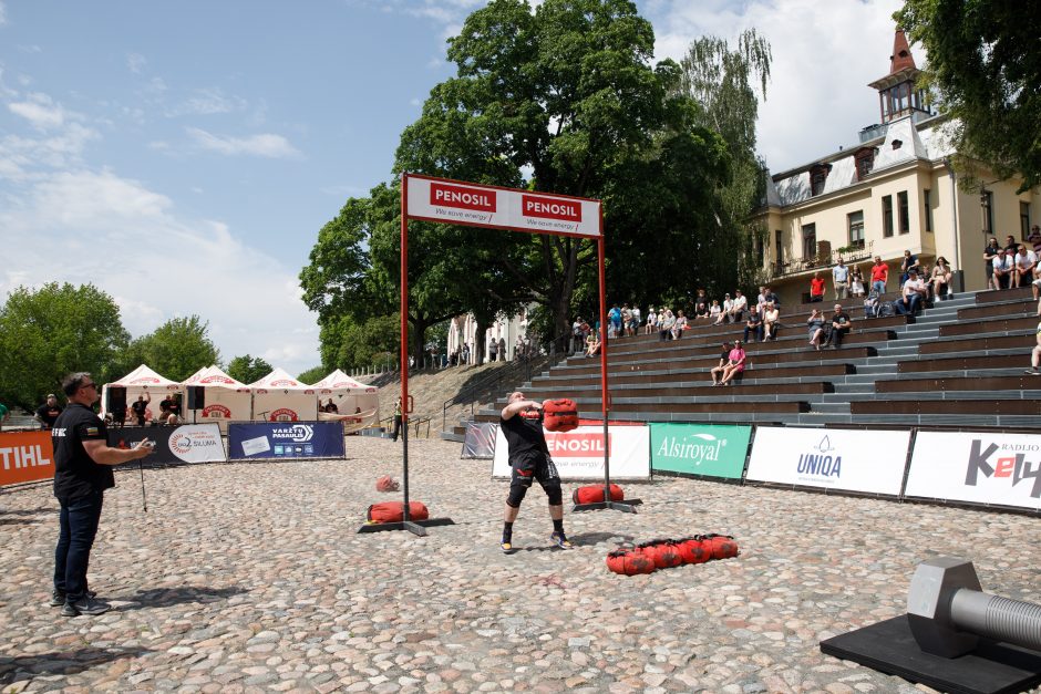 Pasaulio galiūnų taurė Daugirdo amfiteatre